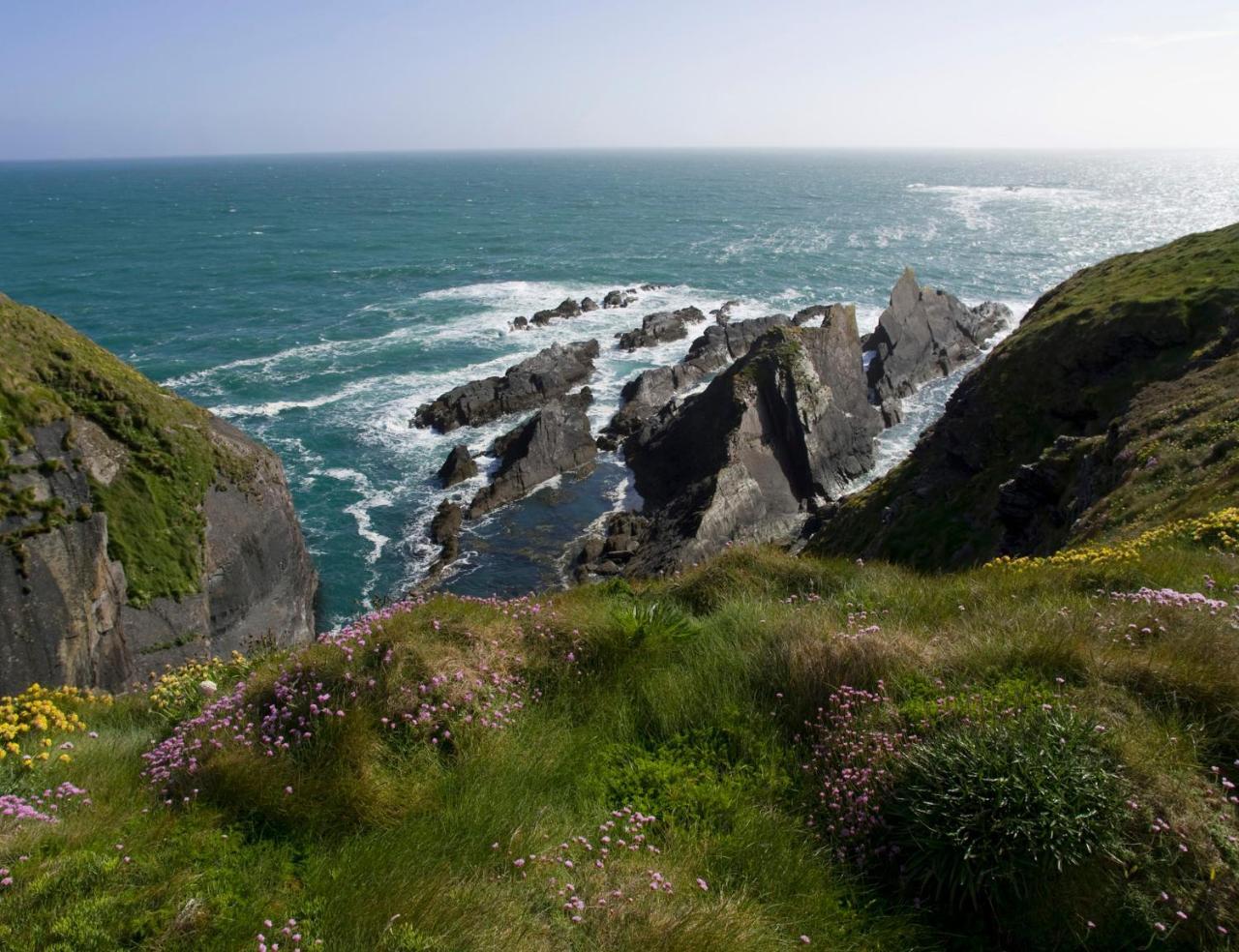 Galley Head Lightkeeper'S Houses Donoure Екстер'єр фото